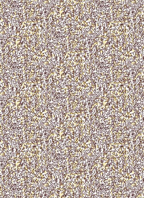 PÉ DE GALINHA 2